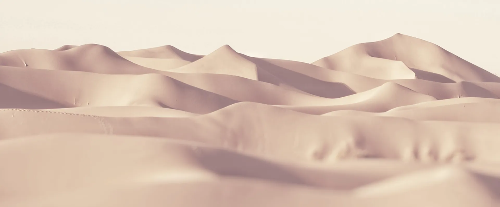 Patagonia Light Box — landscape reference showing Patagonian terrain and light