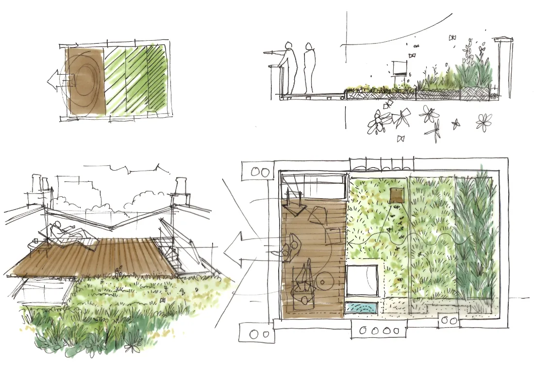 Landscape design drawing showing plan layout and planting zones