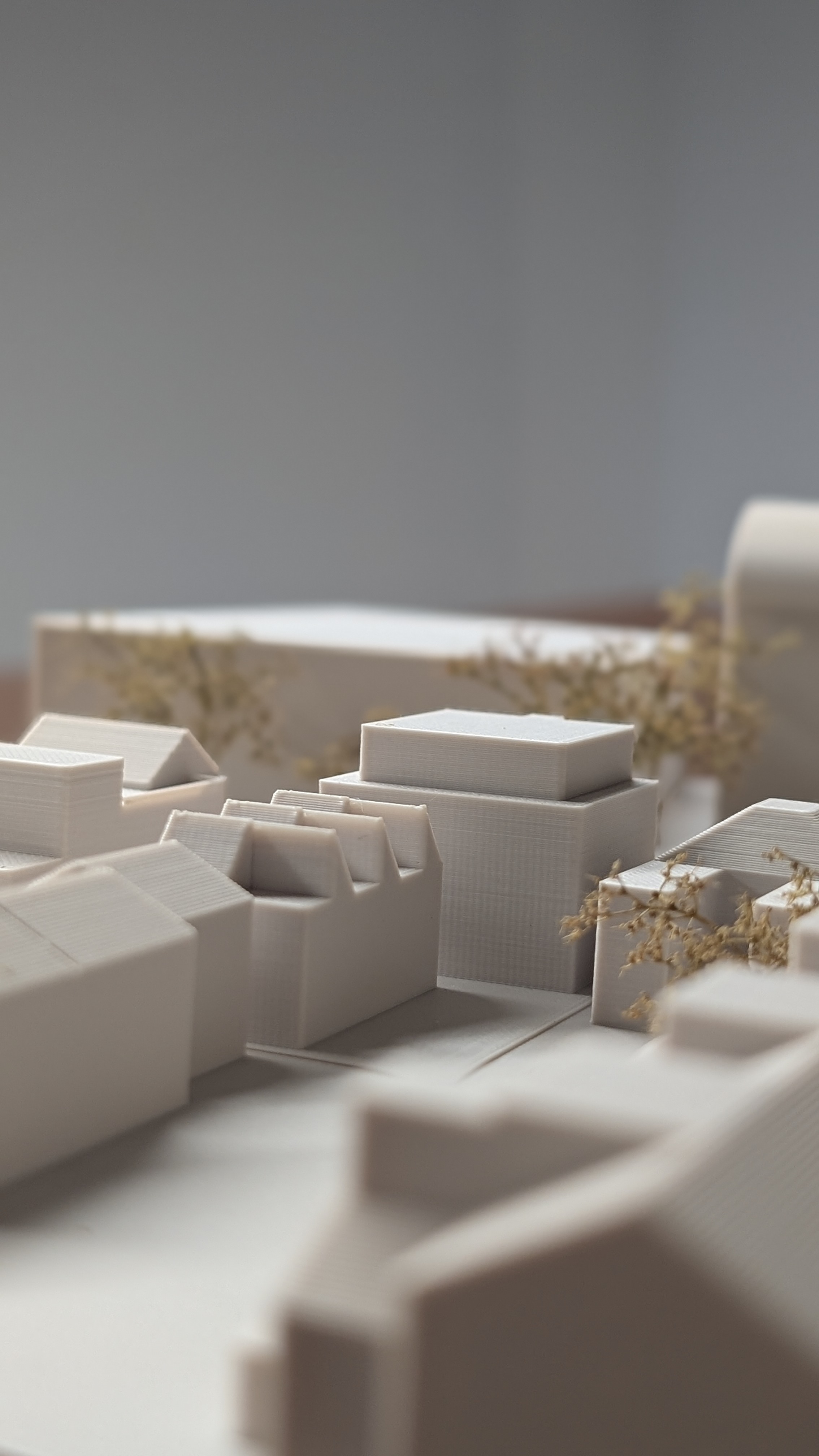 98 Morden Road — site model