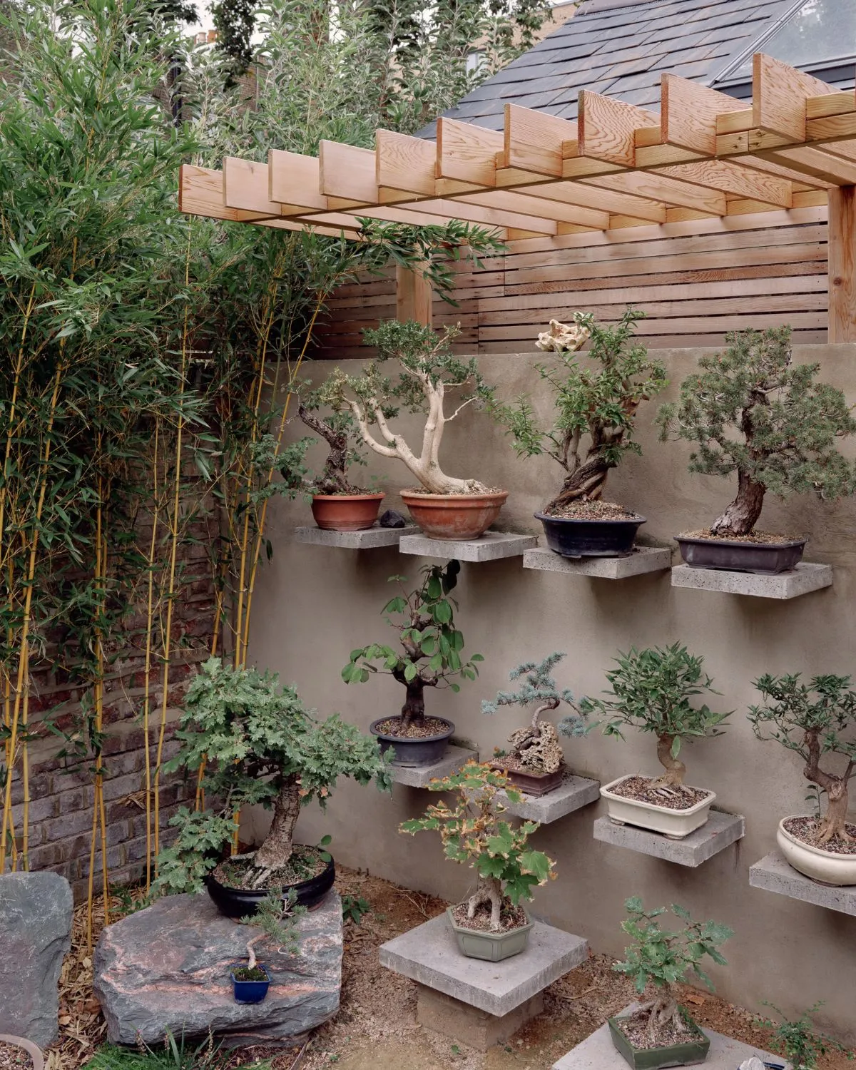 Bonsai Wall with Concrete Shelves and Timber Pergola